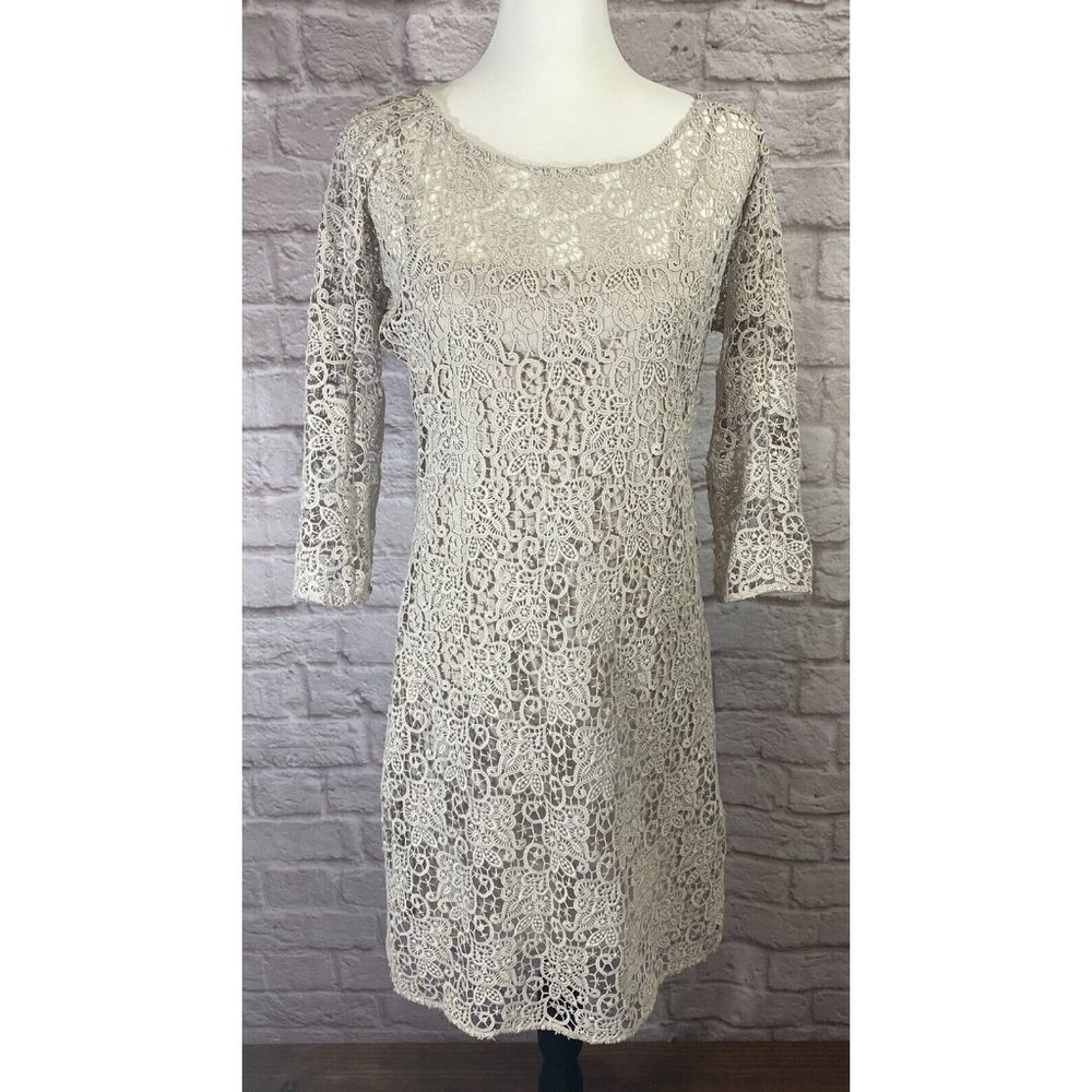 ZARA Grey Lace Dress Small Floral Guipure Overlay with Slip Evening Wedding 8889
